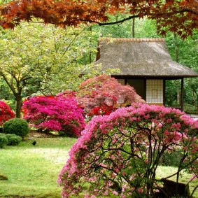 Small oriental style house on the border of the plots