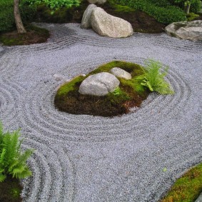 Eğrelti otları ve çakıl Japon tarzı bir bahçede