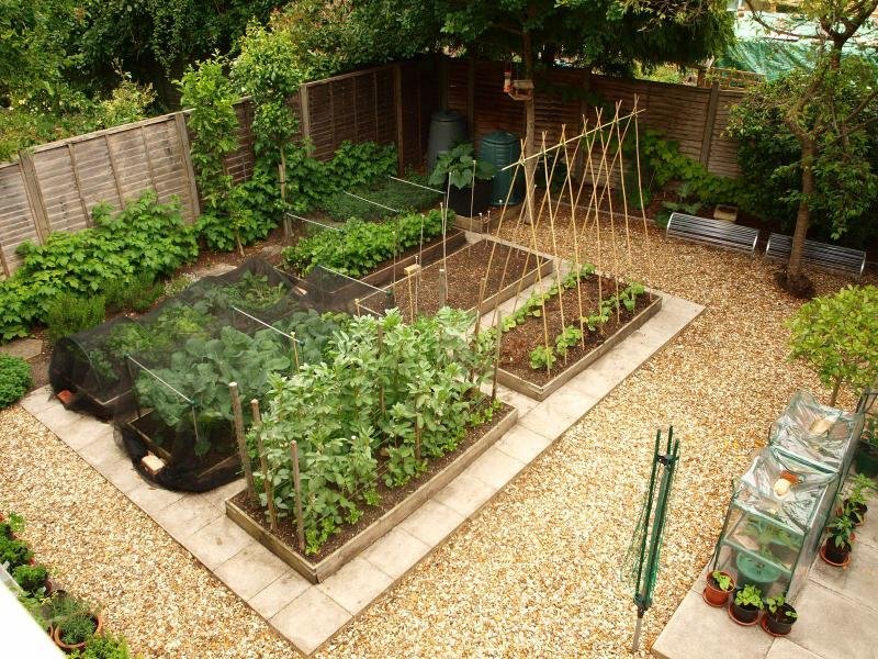 Grădină compactă cu paturi frumoase