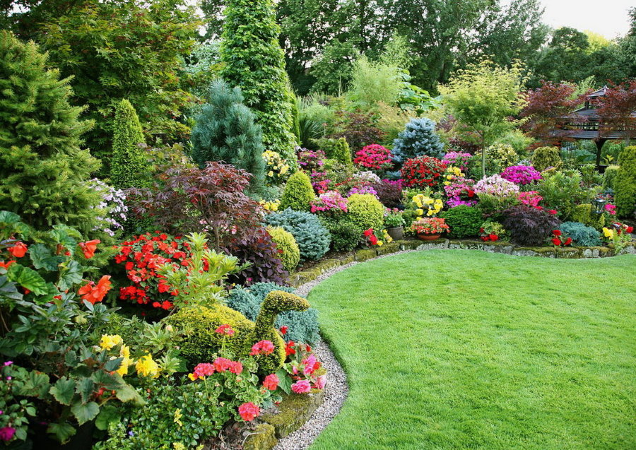 Bloeiende hoek van de tuin in het midden van de zomer