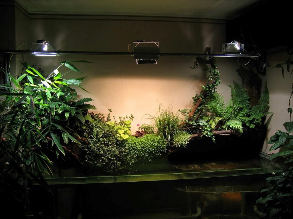 תאורה של צמחים מקורה בדירה