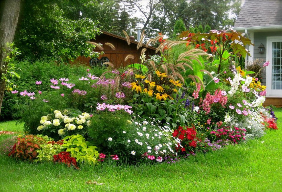 Bloeiende vaste planten in een bloembed van een landschapstuin