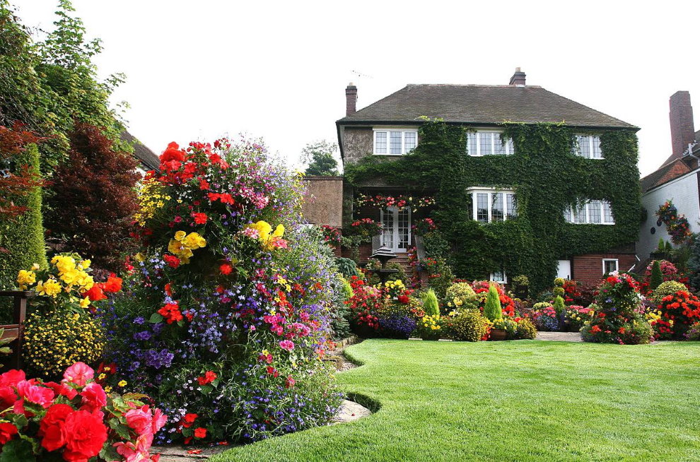Rosas florescendo em um jardim de estilo inglês