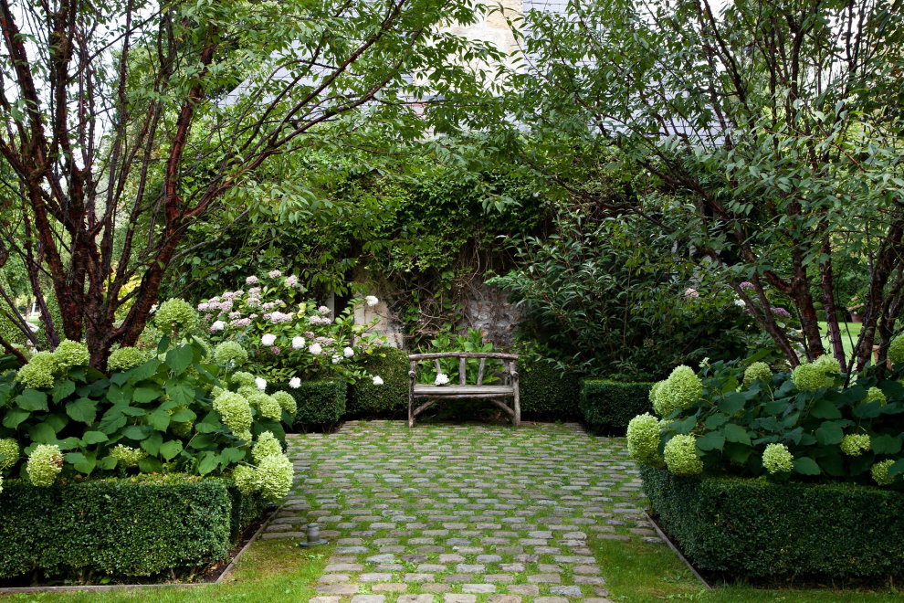 Panicle hortenzija puķu dobi angļu stila dārzā