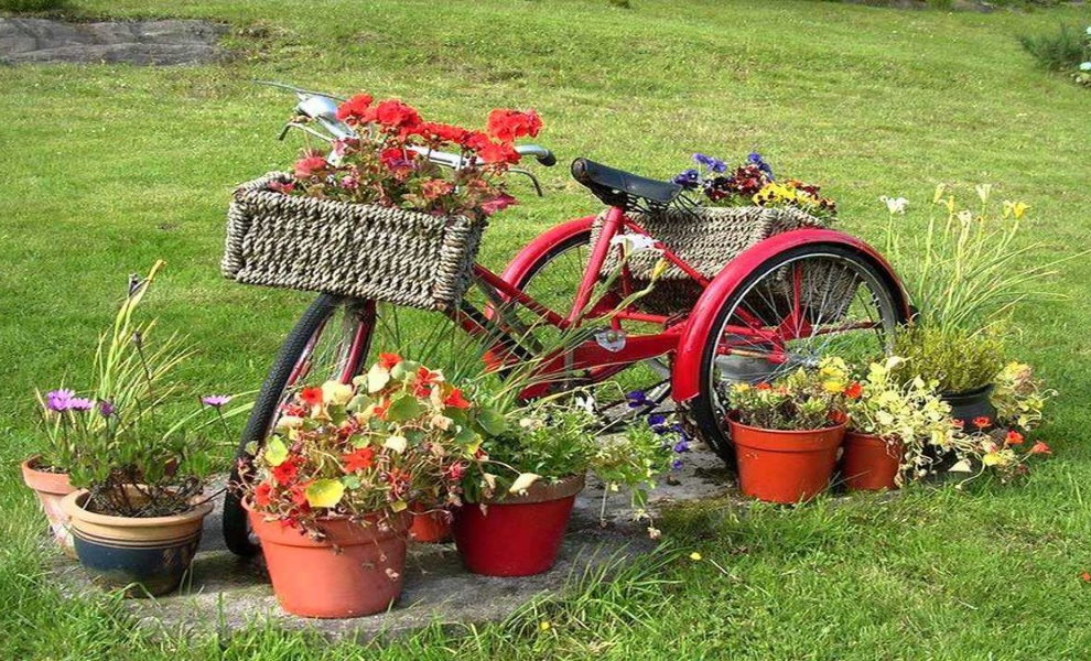 Blomsterbed av en gammel trehjulssykkel