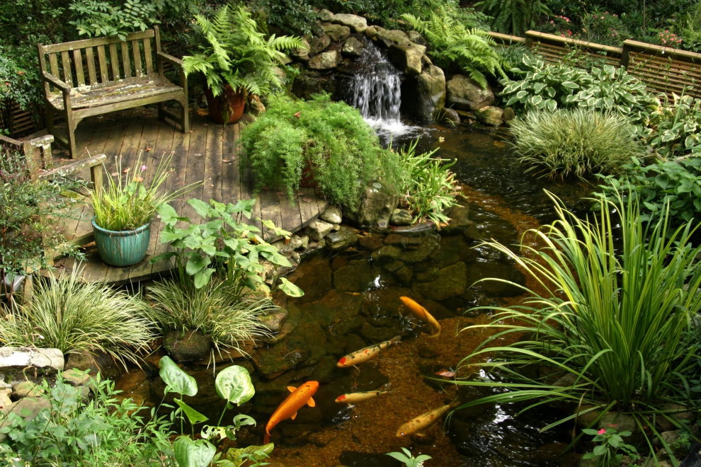 Wooden bench on the platform near the fish pond