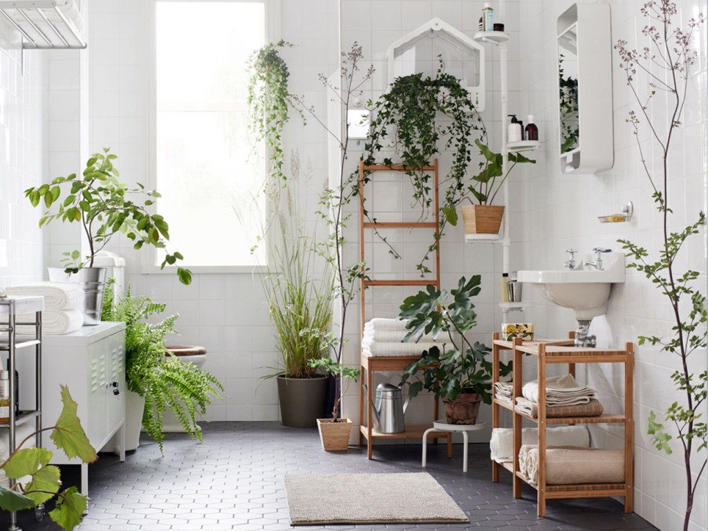 צמחים ירוקים בחדר לבן