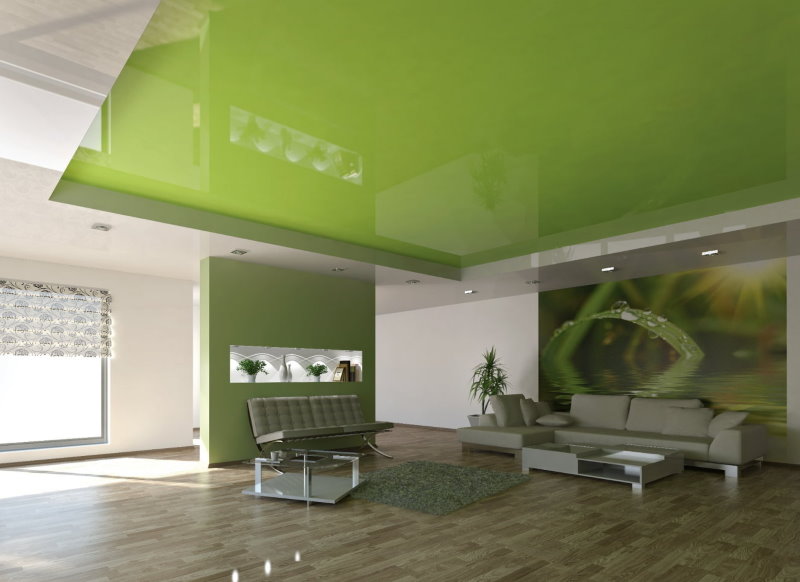Toile extensible verte dans le salon spacieux