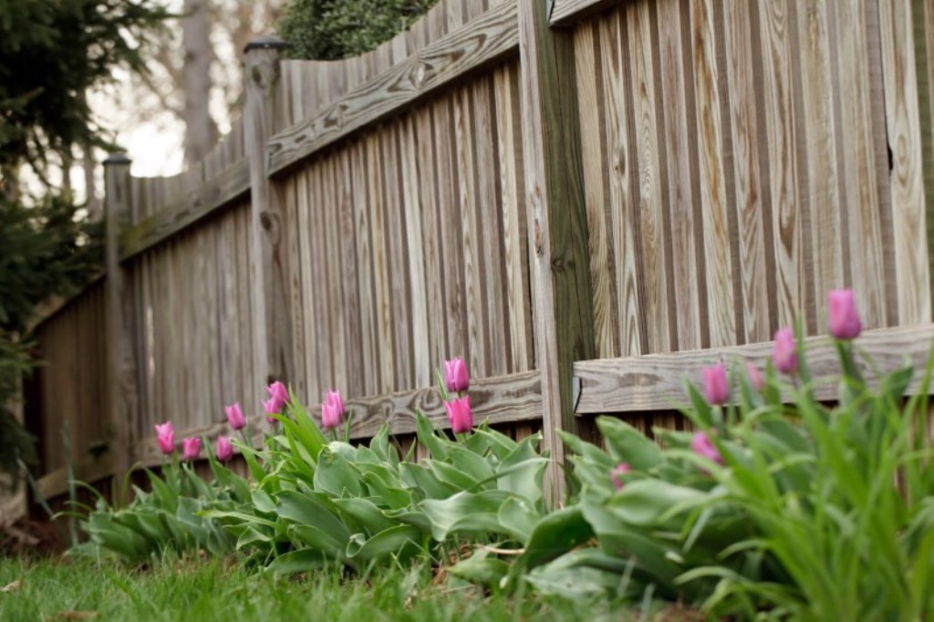 wooden fence