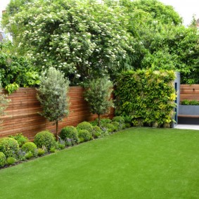 Rectangular lawn on a plot with a wooden fence