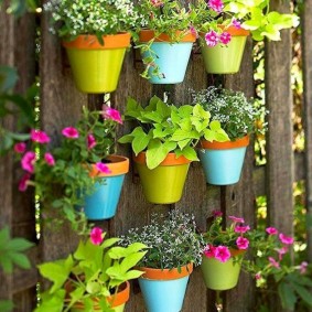 Flower pots on fence boards