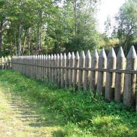 medinė tvora sklypo projektavimo galimybėms