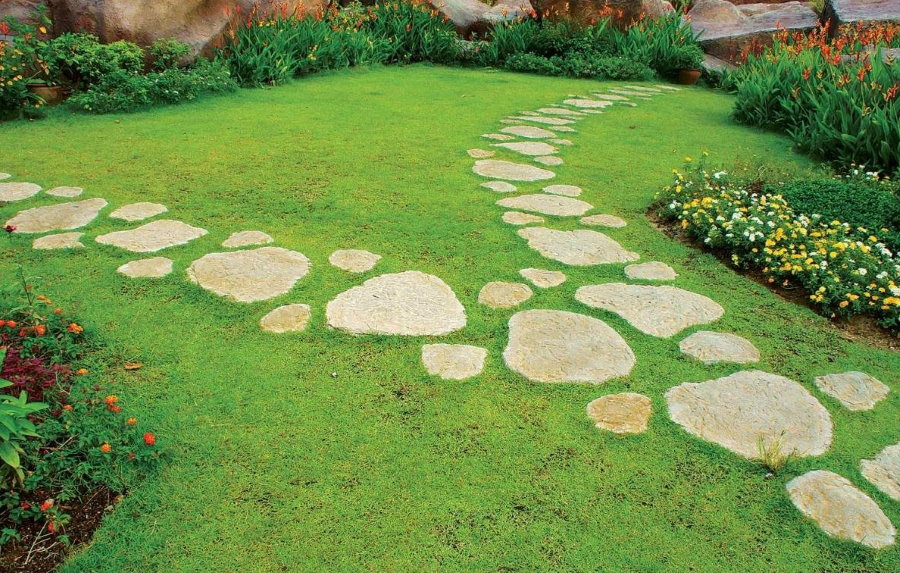 Natural stone walkway on a green lawn