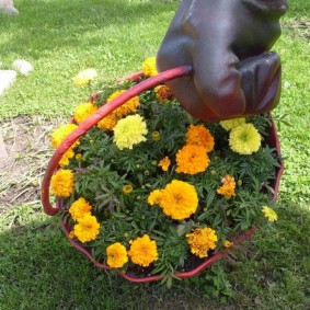 Plastik saksıyı çiçek açan marigolds ile