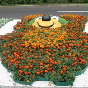 Flowerbed farklı renkteki kadife çiçeği bir ayı şeklinde