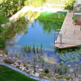 Wooden bridge for swimming in an artificial pond