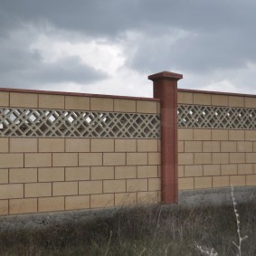 Concrete fence with trellised insert