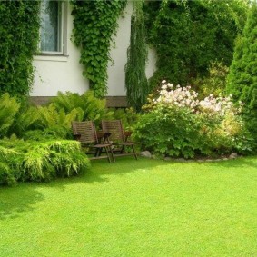 Ground lawn in a summer cottage