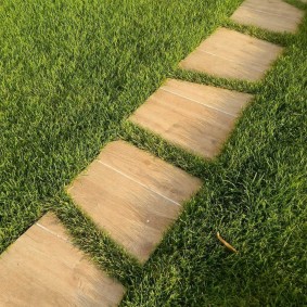 Step path through the garden lawn