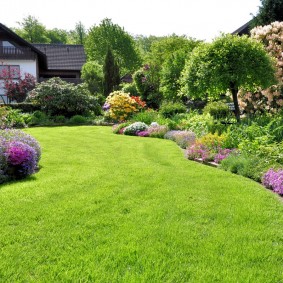 Flowering perennials along the edges of a decorative lawn