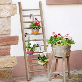 Blomkrukor på en stege