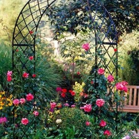 Dārza arka ar ziedošām rozēm