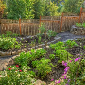 Garden beds on a site with elevations