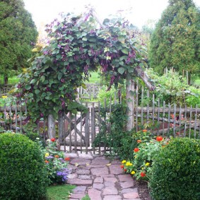 Plantes grimpantes sur une porte de jardin