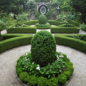 Arbusti tăiați într-o grădină în stil englezesc