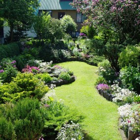 O abundență de arbuști înfloriți într-o grădină în stil mixt