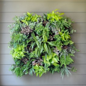 Mix van binnenbloemen aan de muur met bekleding