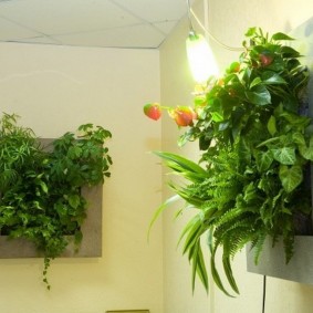 Foto's van levende planten in het interieur van het appartement