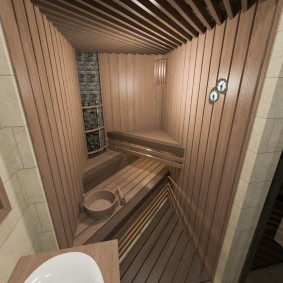 Ontwerp van een sauna in een stadsappartement