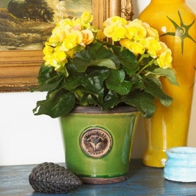 Ingemaakte begonia met gele bloemen