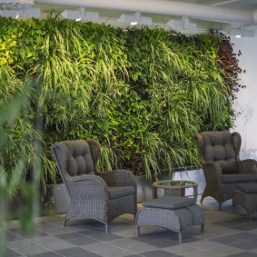 Schaduwminnende planten in de lounge