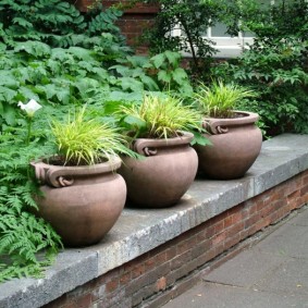 Ceramic flowerpots with garden plants