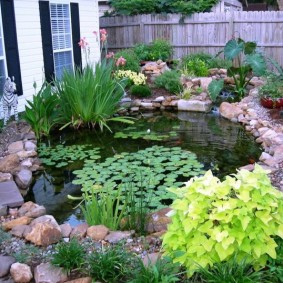 Round pond in front of the windows of the house