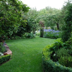 Smooth lawn in a landscape style garden