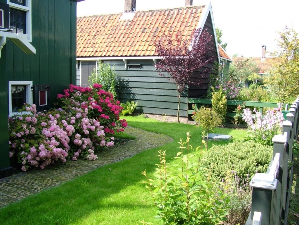 Rožu krūmi gar māju uz holandiešu stila dārza zemes gabala