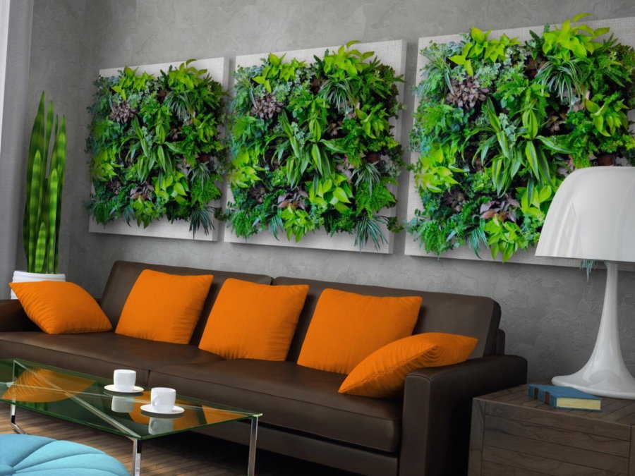 Levende planten decor muur boven de bank