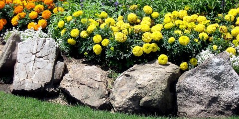 design de pat de flori din piatră