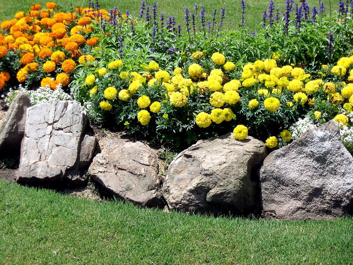 parterre de fleurs en pierre