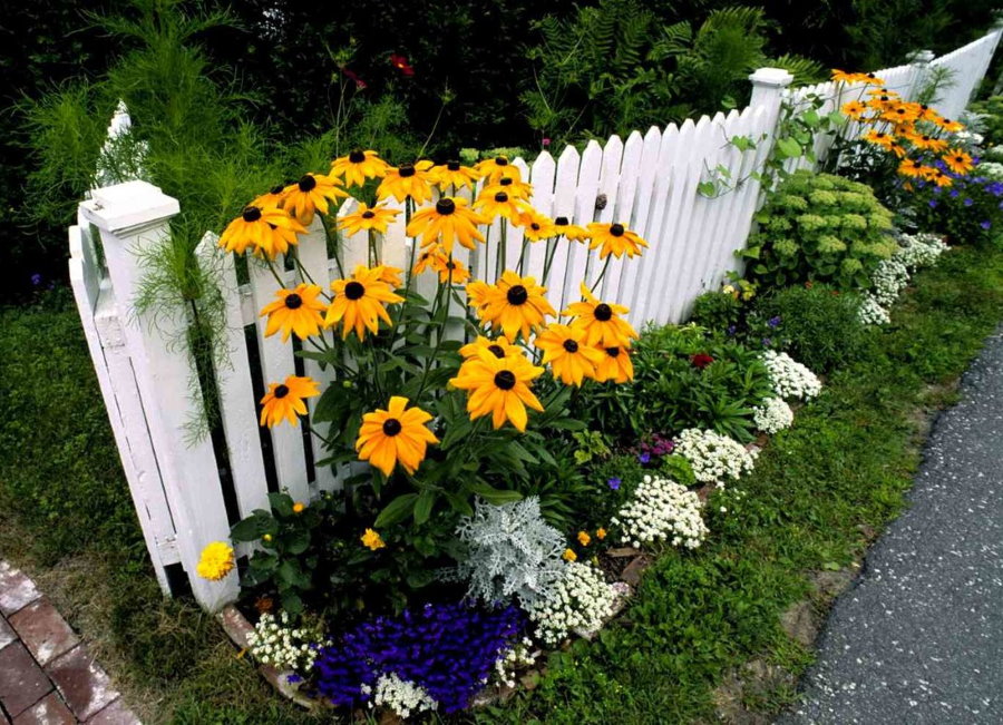 Decorative sunflowers near the white fence