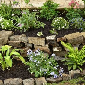 parterres de fleurs avec des pierres idées de bricolage décor