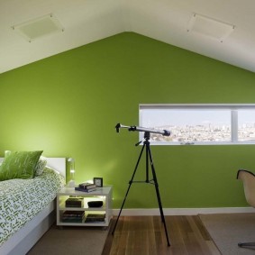 Зелени зид у сеоској кући