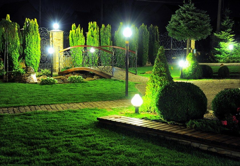 LED gaismas dārzā ar skujkokiem