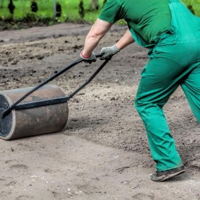 Pregătirea solului pentru plantarea ierbii de gazon