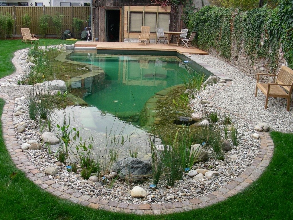 Decorative pond with a swimming area