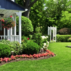 tuin plot van zeshonderd foto's van soorten