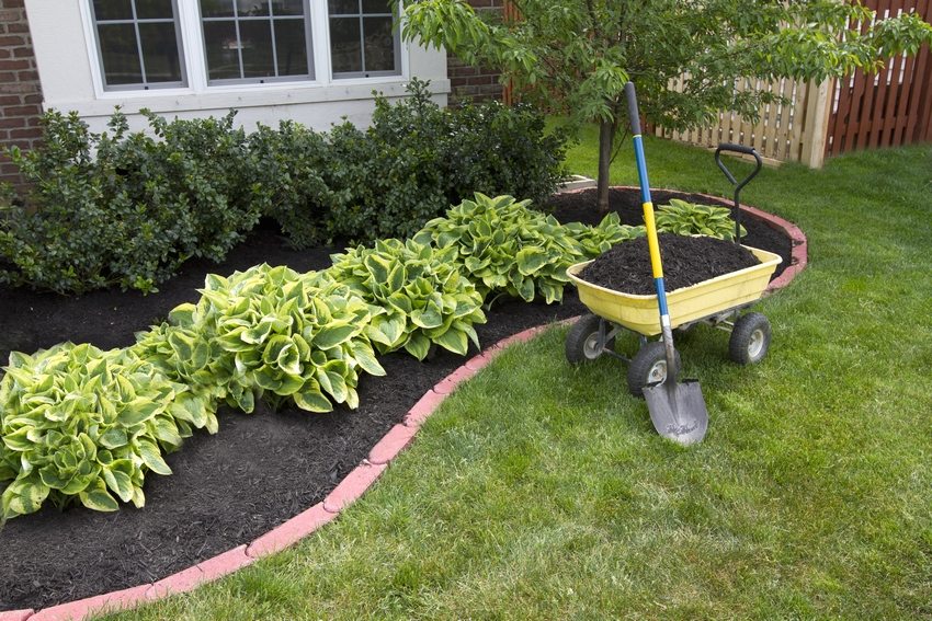 قطعة من 15 فدانا من flowerbed